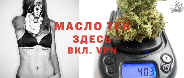твердый Бородино