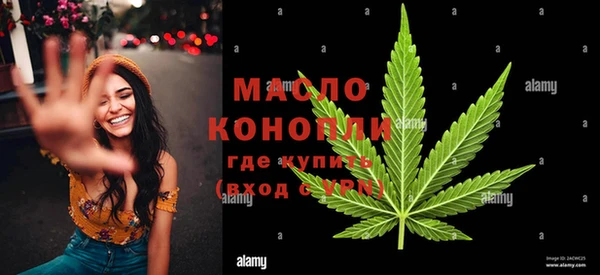 твердый Бородино