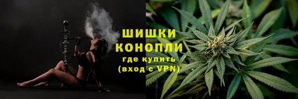 гашик Богородск