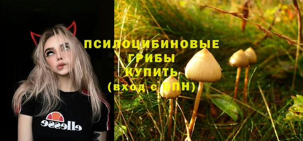 гашик Богородск