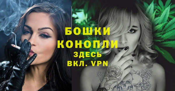 твердый Бородино