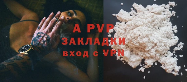твердый Бородино