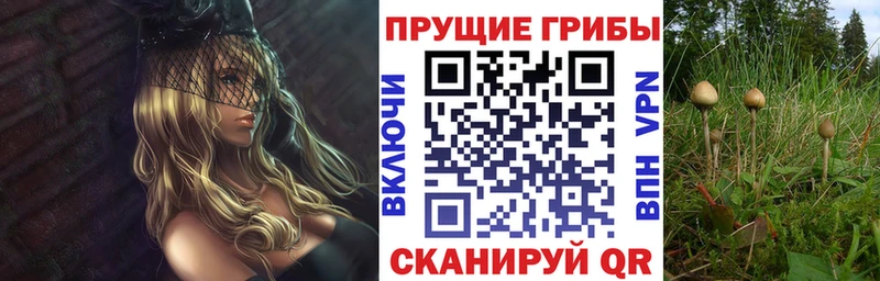 Галлюциногенные грибы MAGIC MUSHROOMS  МЕГА ссылка  Катайск  как найти закладки 